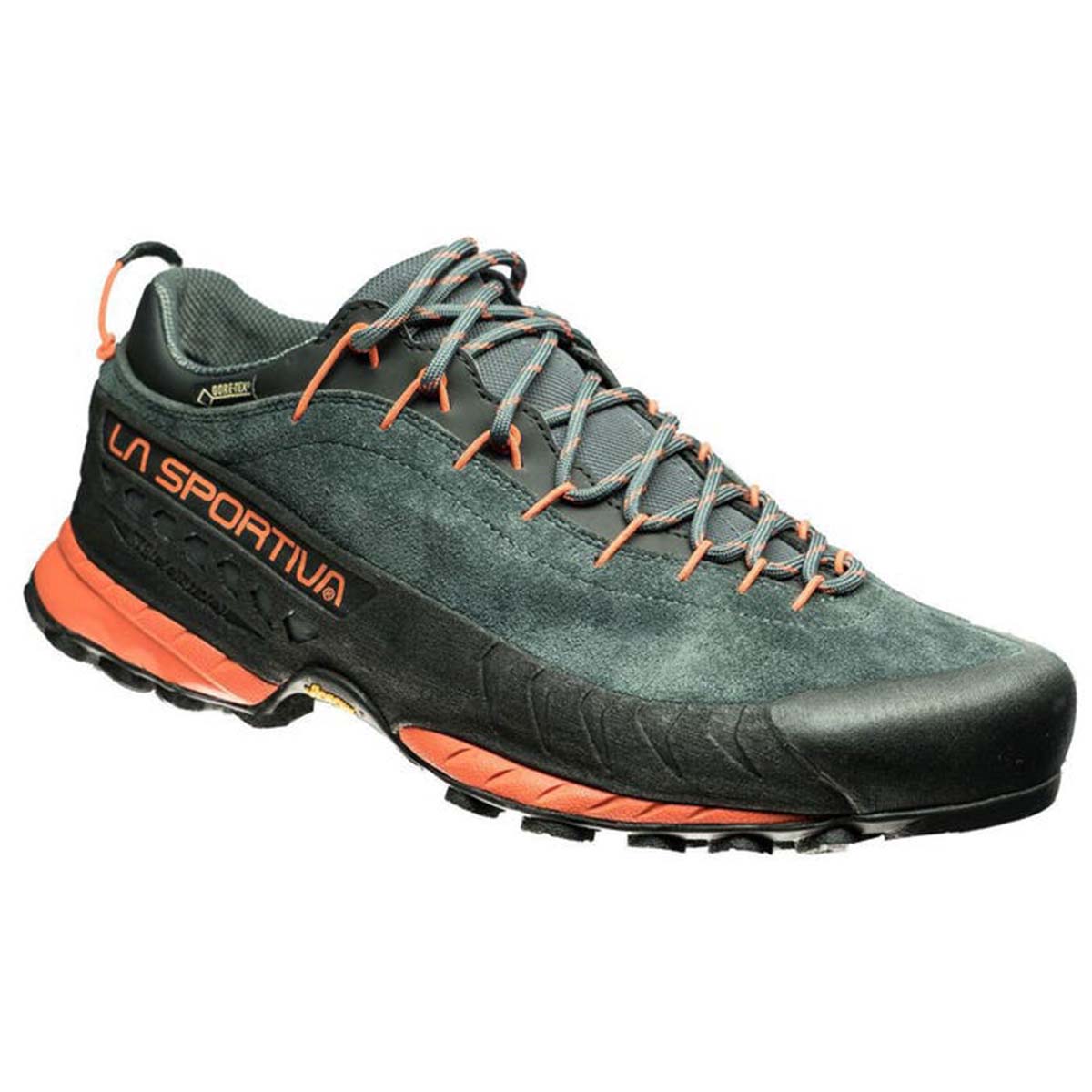 TX4 GTX Mens Approach Shoes Grey