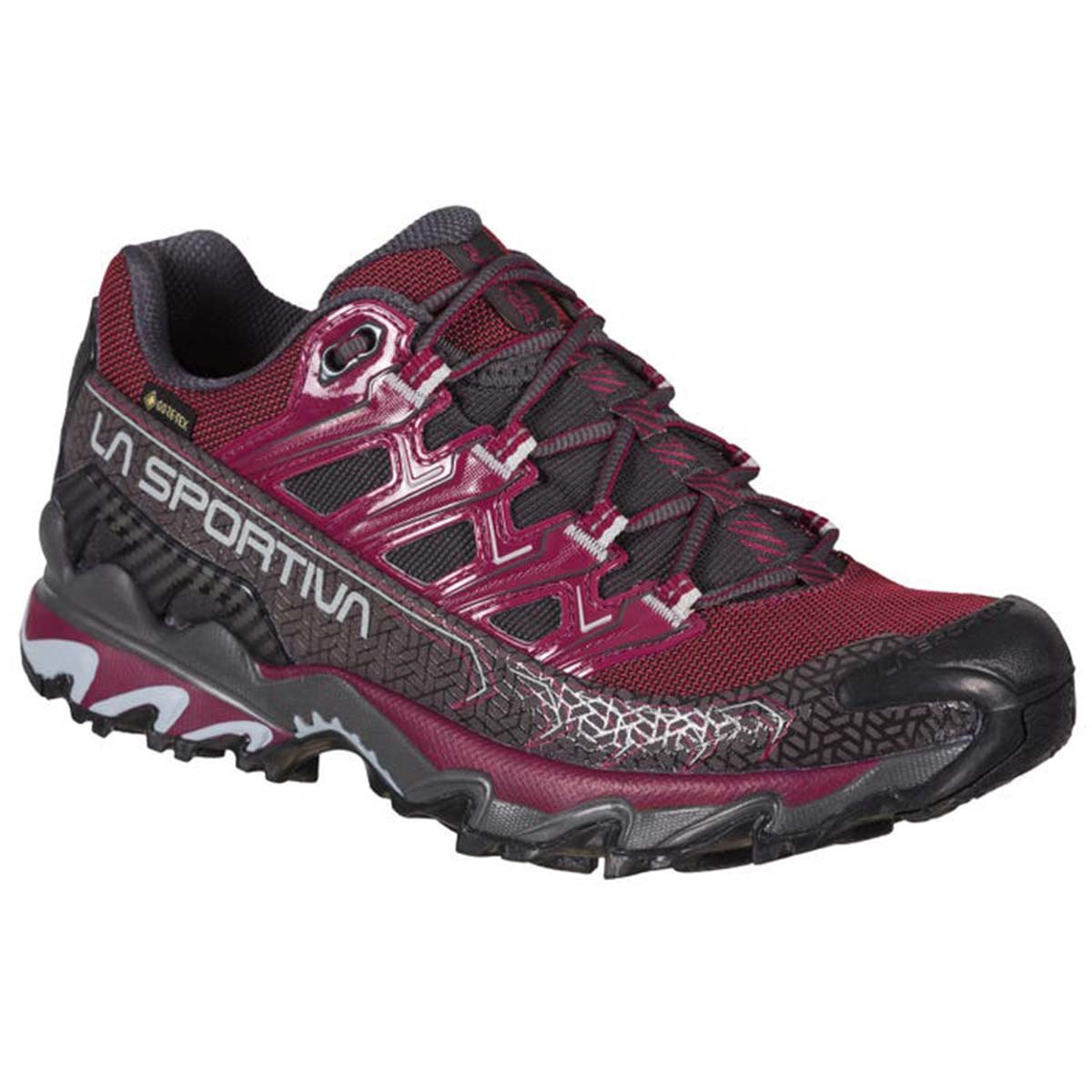 Ultra Raptor II GTX Womens Hiking Shoes Purple