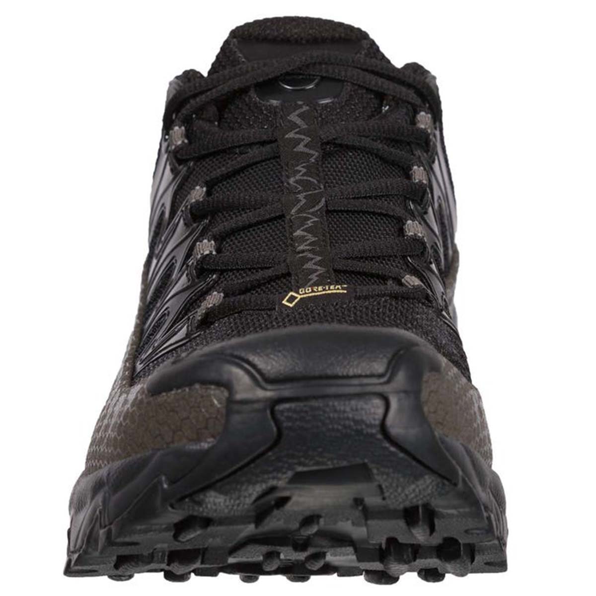 Ultra Raptor GTX Mens Trail Running Shoes Black