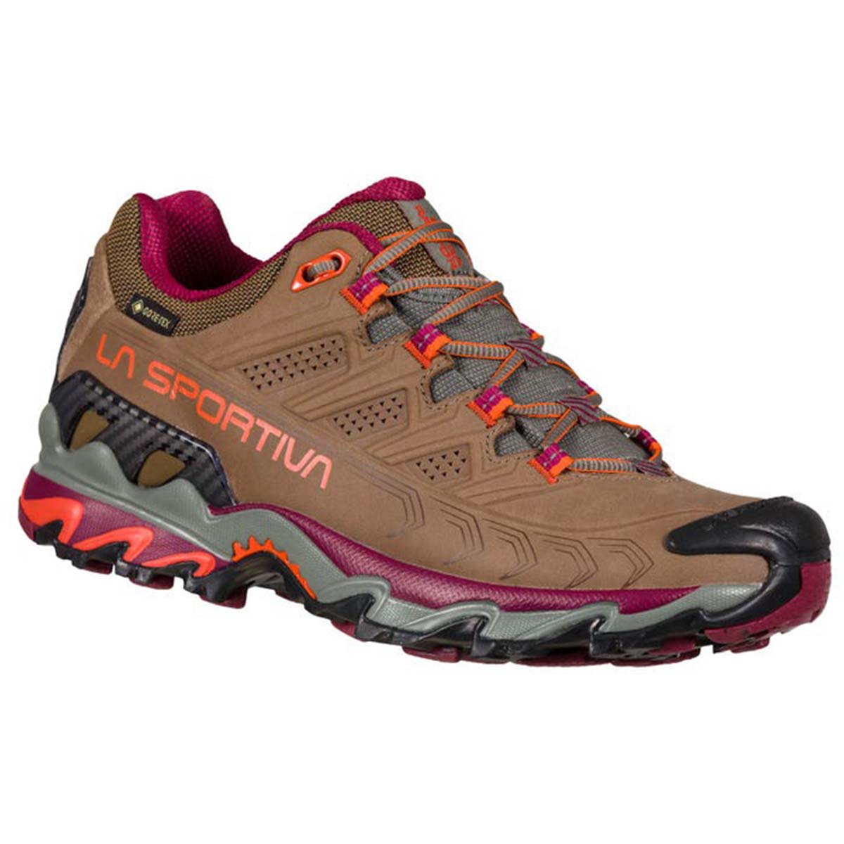 Ultra Raptor II Leather GTX Womens Hiking Shoes Brown