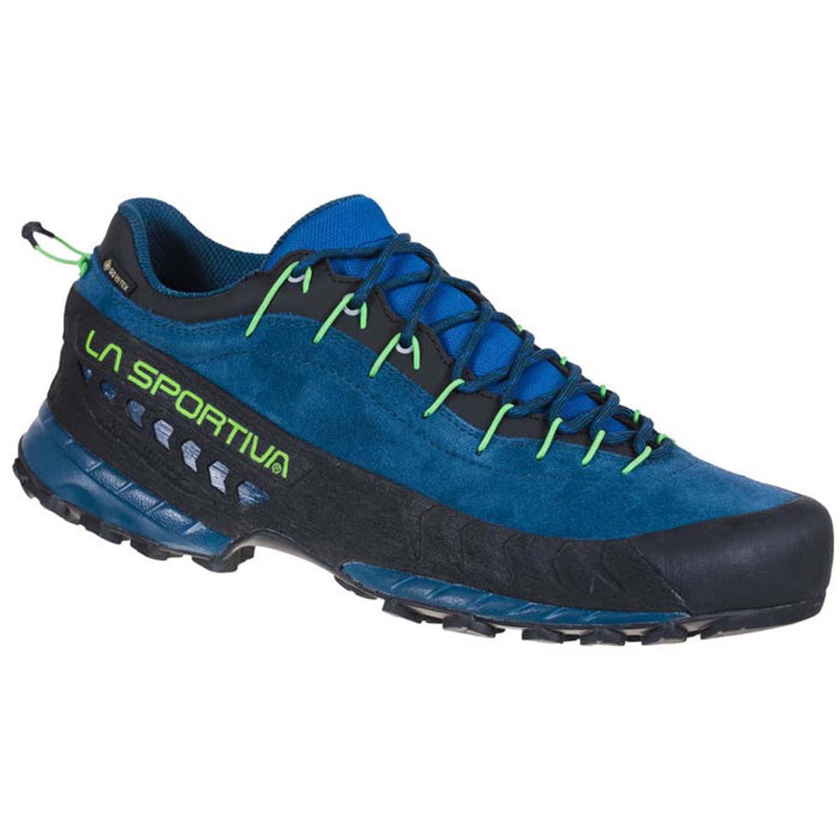 TX4 GTX Mens Approach Shoes Blue