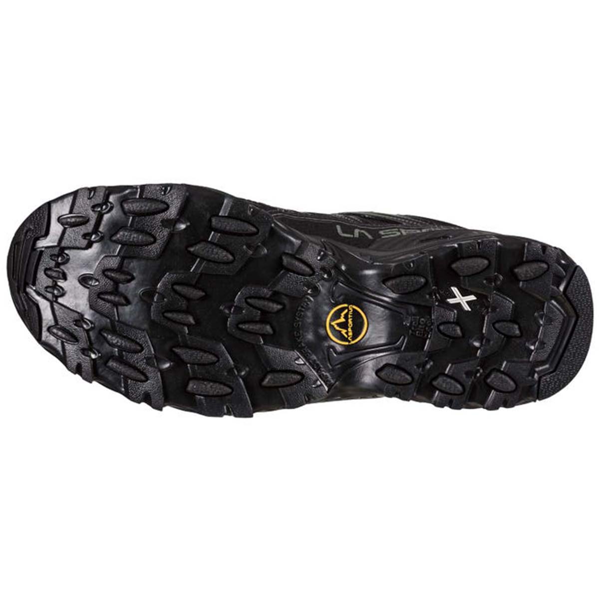 Ultra Raptor II GTX Mens Hiking Shoes Black