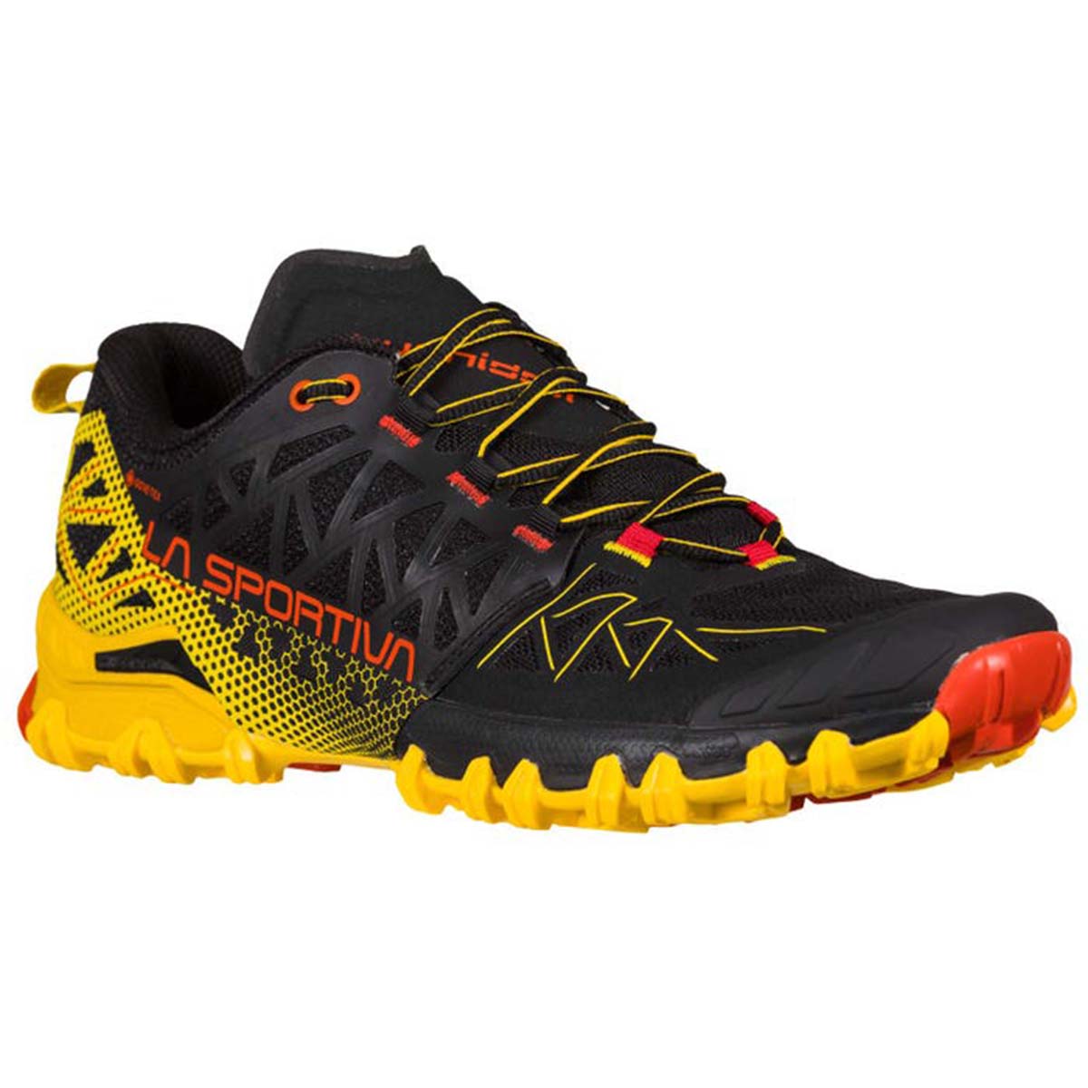 Bushido II GTX Mens Trail Running Shoes Black