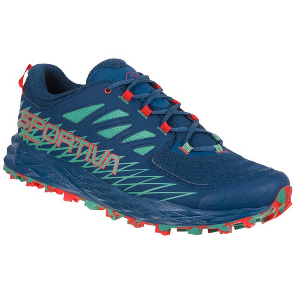Lycan GTX Mens Trail Running Shoes Blue