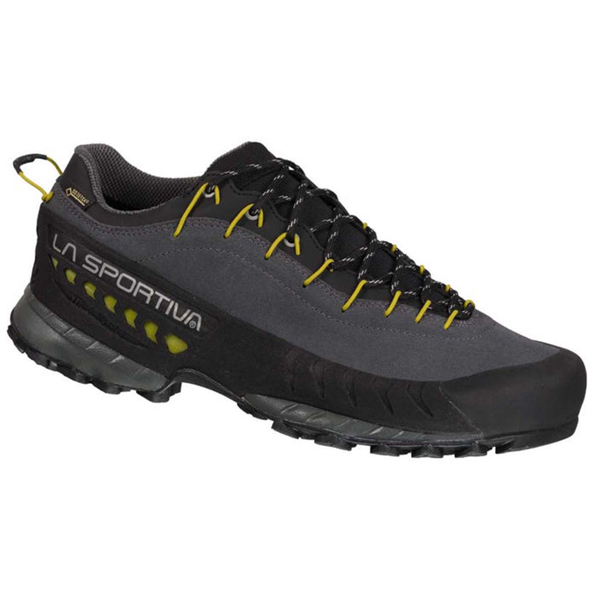 TX4 GTX Mens Approach Shoes Grey