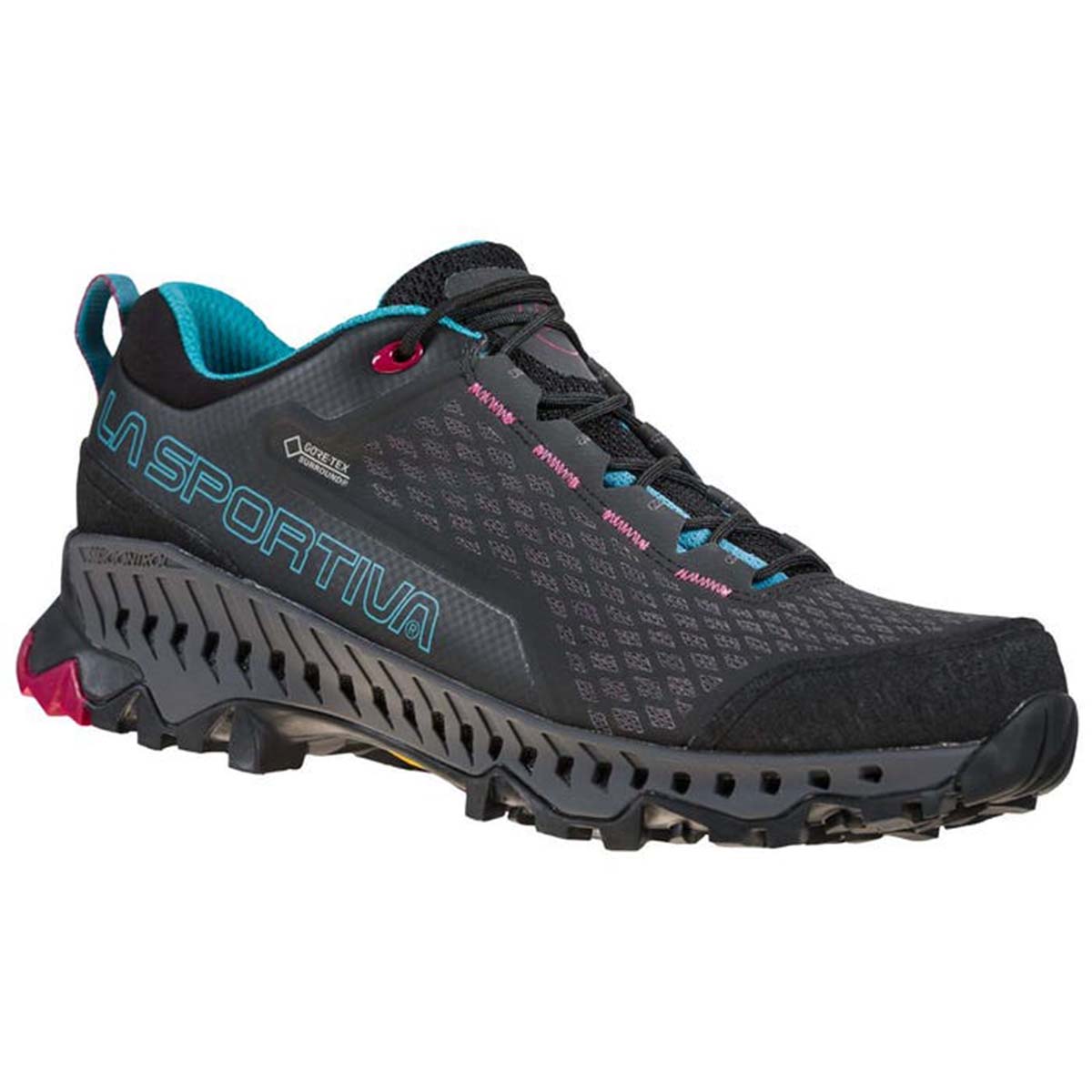 Spire GTX Womens Hiking Shoes Black