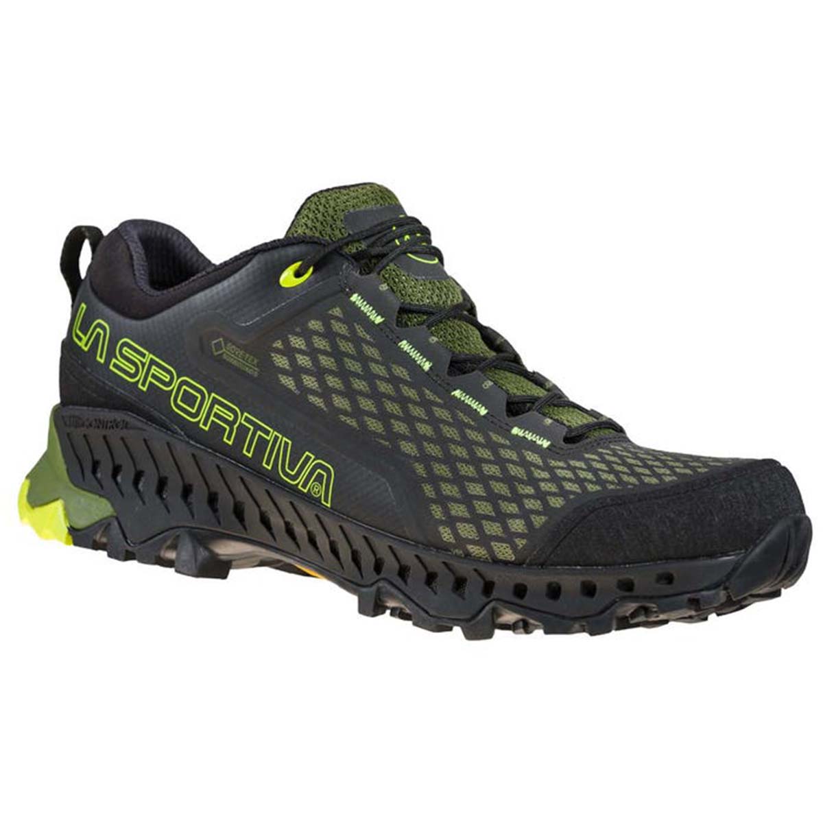 Spire GTX Mens Hiking Shoes Black