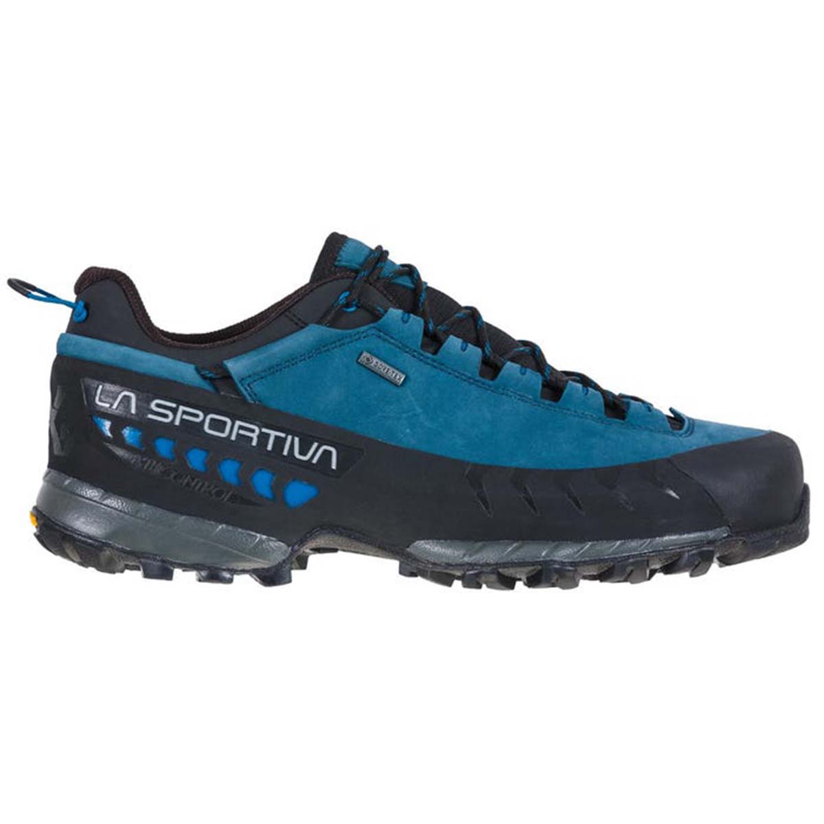 TX5 Low GTX Mens Hiking Shoes Blue