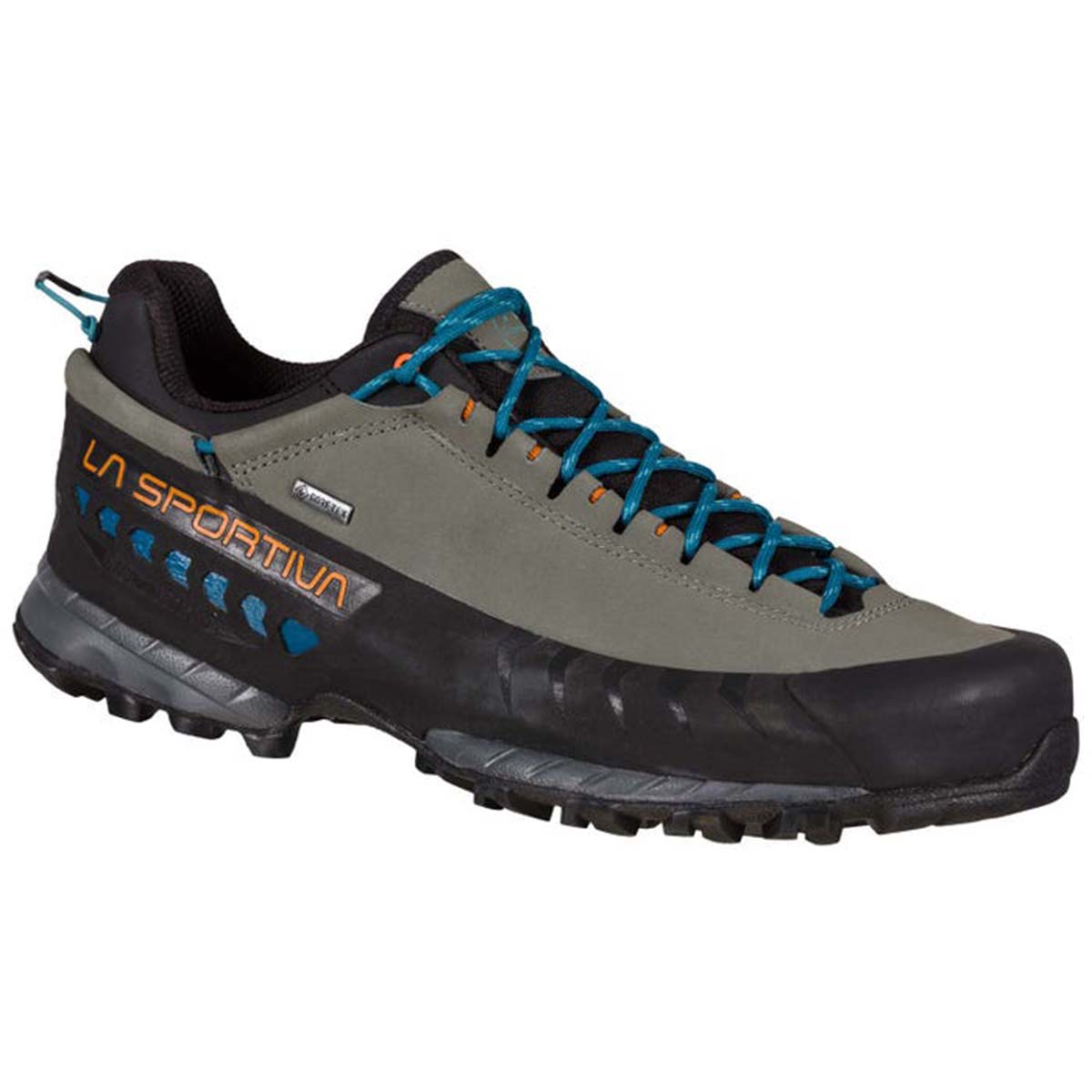 TX5 Low GTX Mens Hiking Shoes Grey