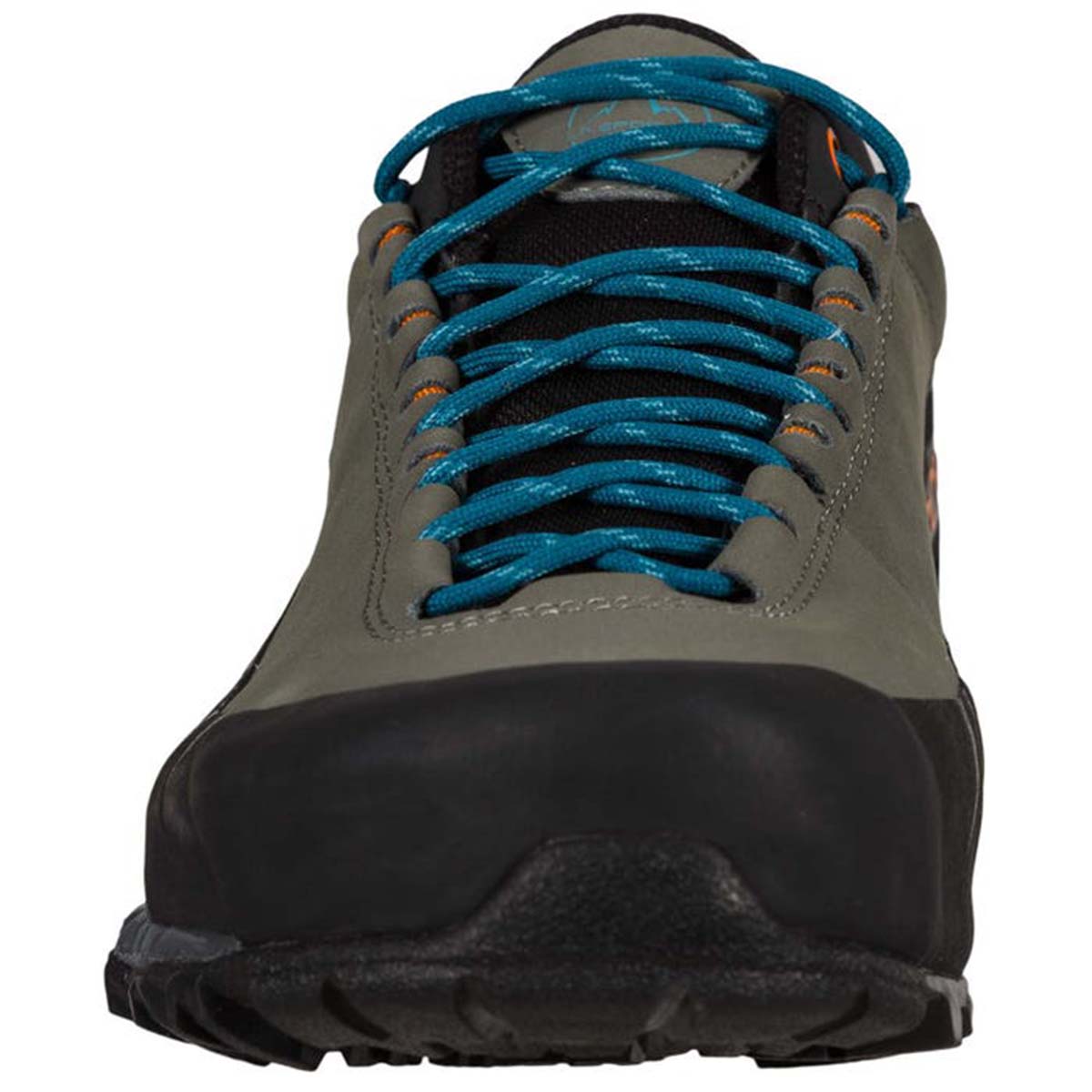 TX5 Low GTX Mens Hiking Shoes Grey