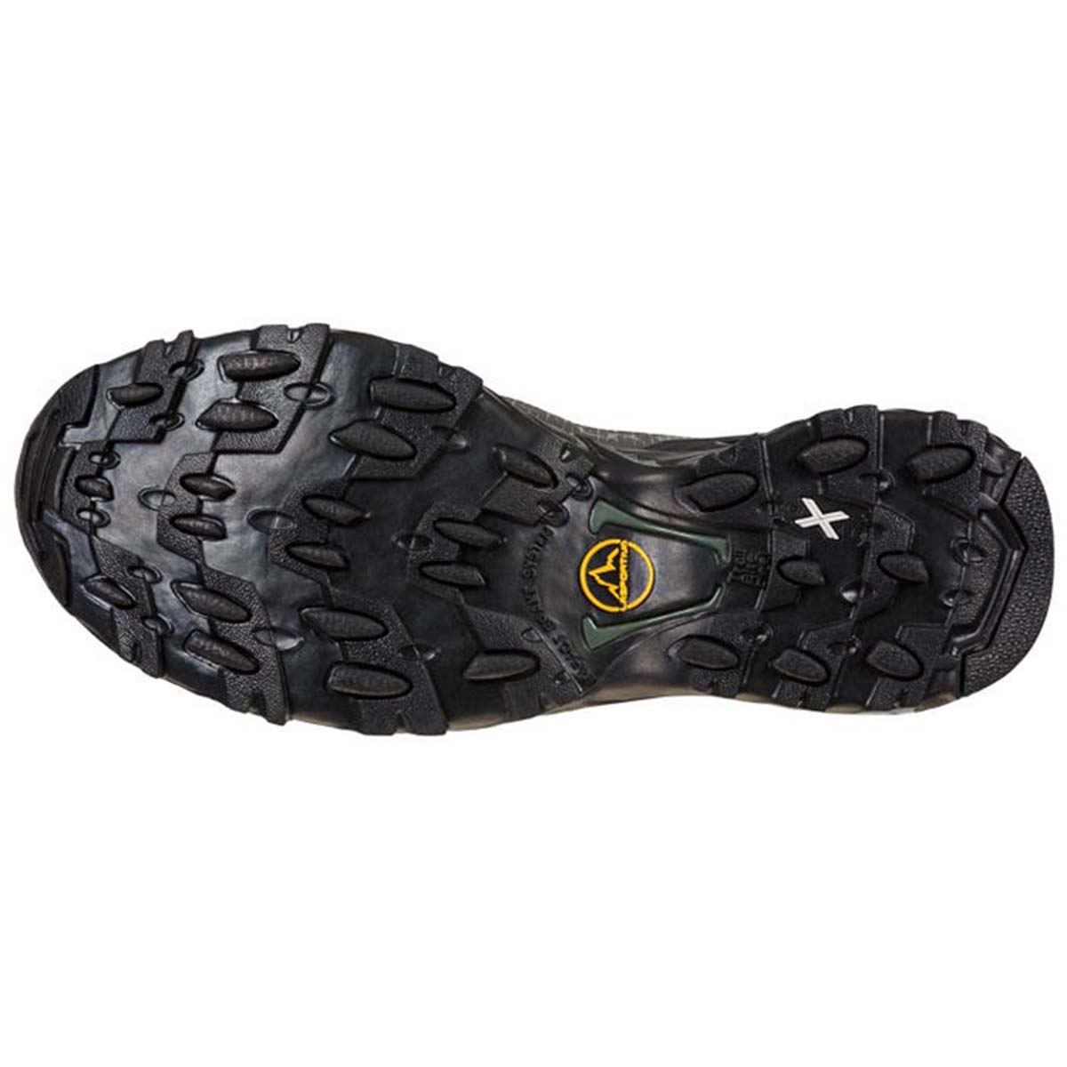 Ultra Raptor II Mid GTX Mens Hiking Shoes Black