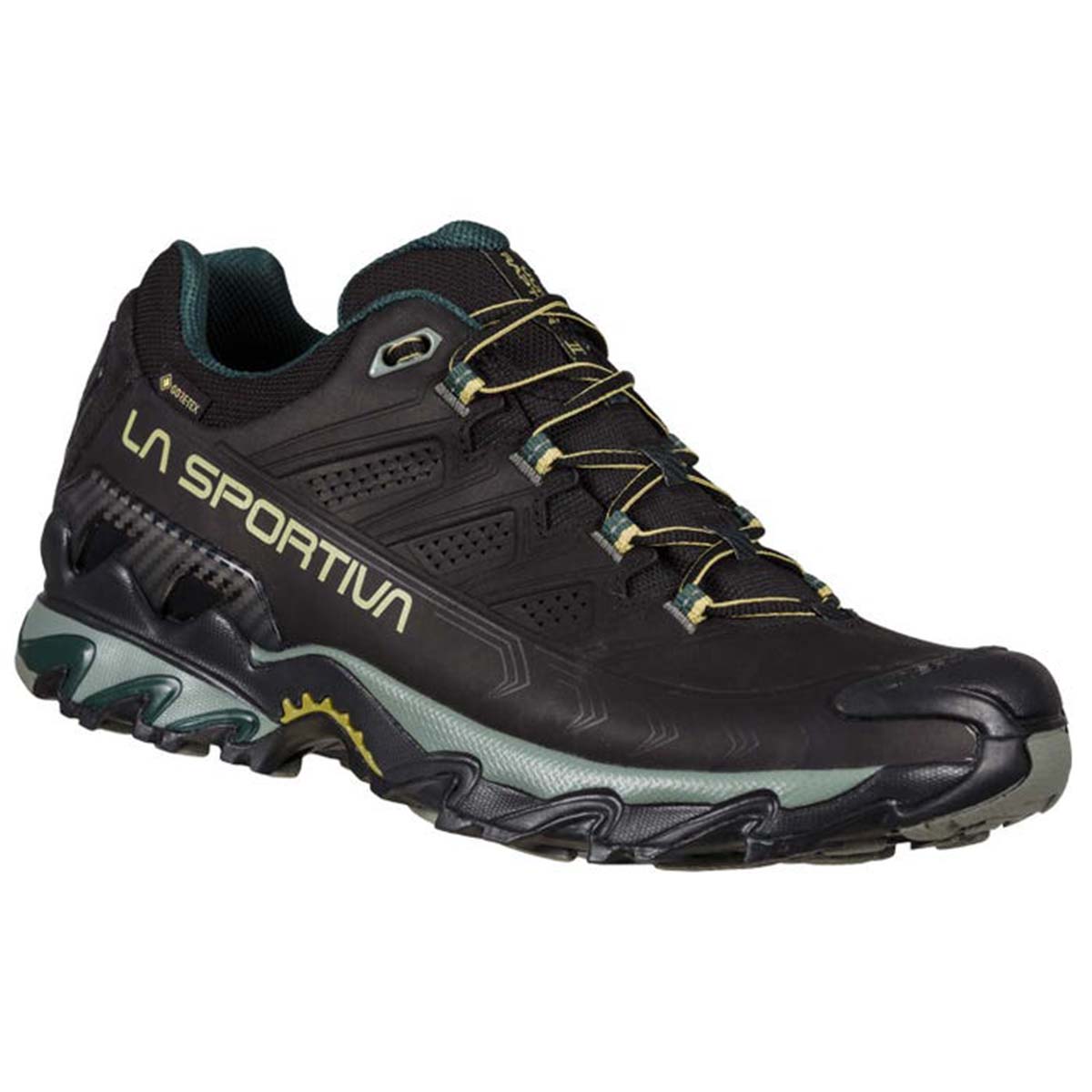Ultra Raptor II Leather GTX Mens Hiking Shoes Black