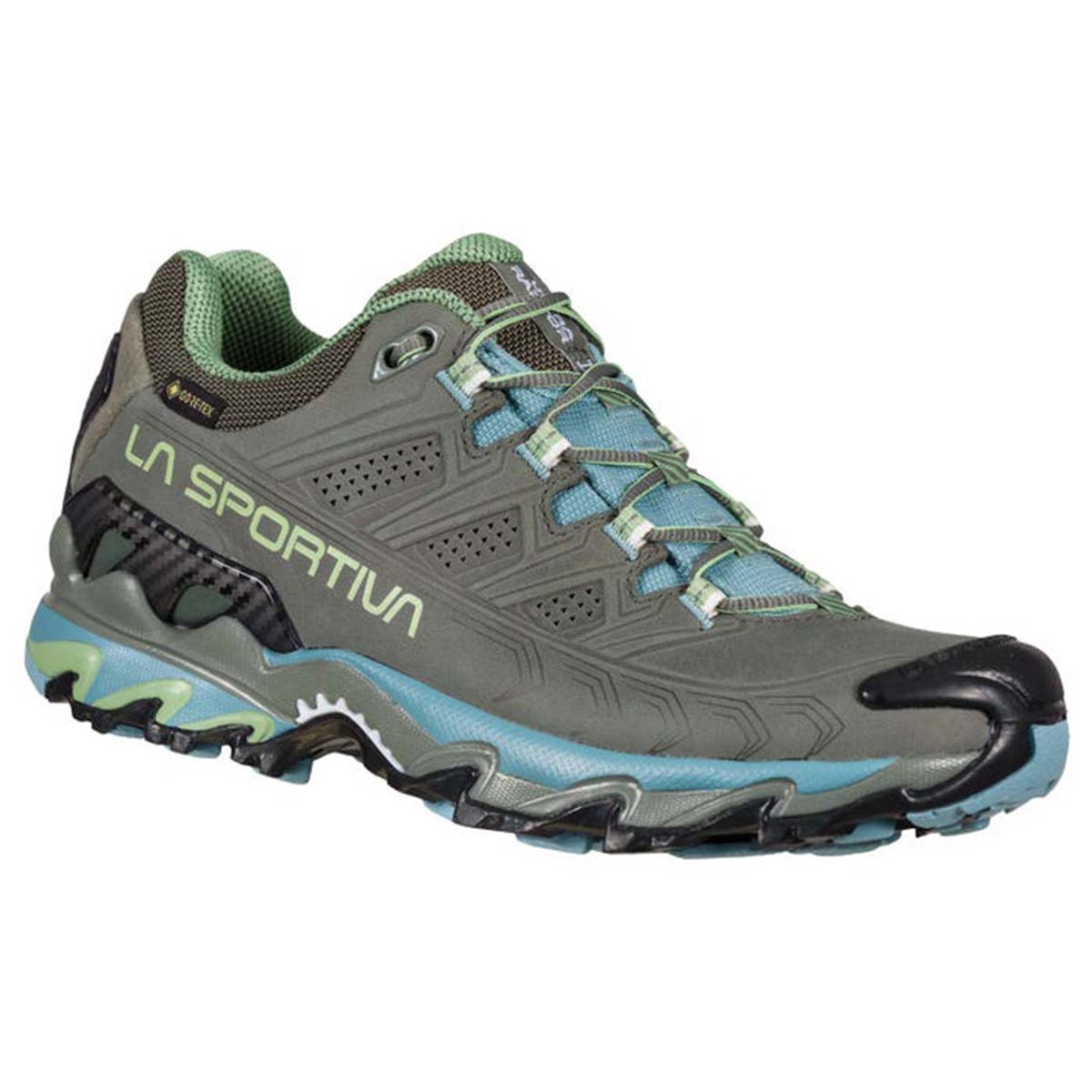 Ultra Raptor II Leather GTX Womens Hiking Shoes Grey