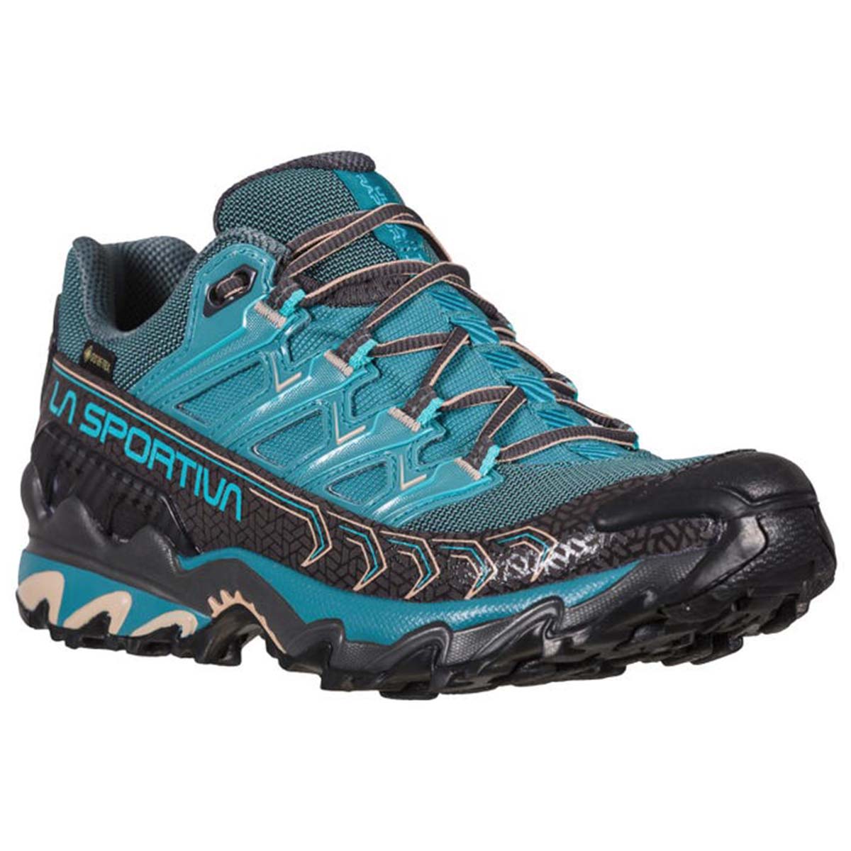 Ultra Raptor II GTX Womens Hiking Shoes Blue