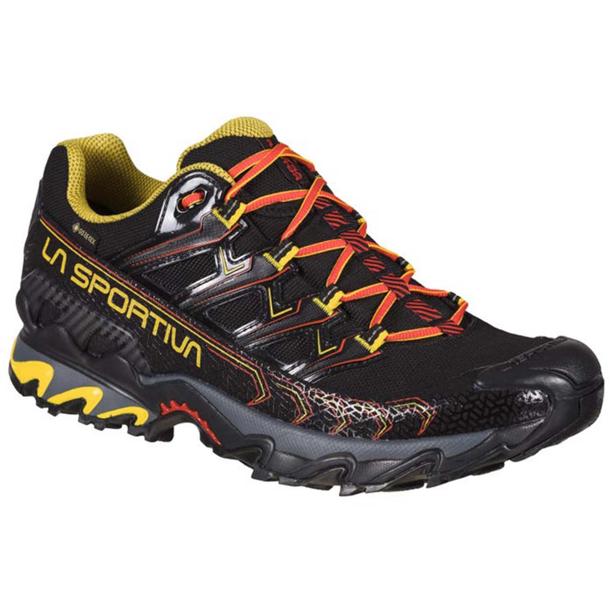 Ultra Raptor II GTX Mens Hiking Shoes Black