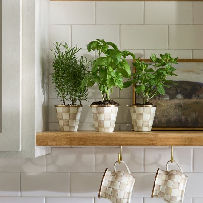 Herb Pots, Set of 3 - {current_domain}