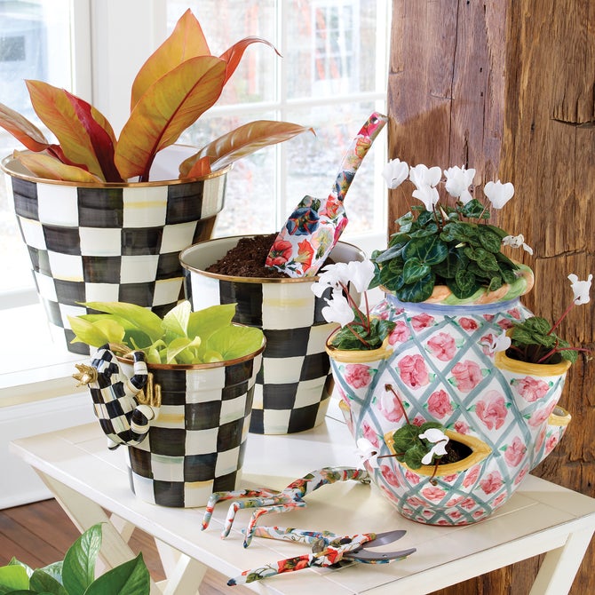 Pot Croaker Pot Climber - {current_domain}