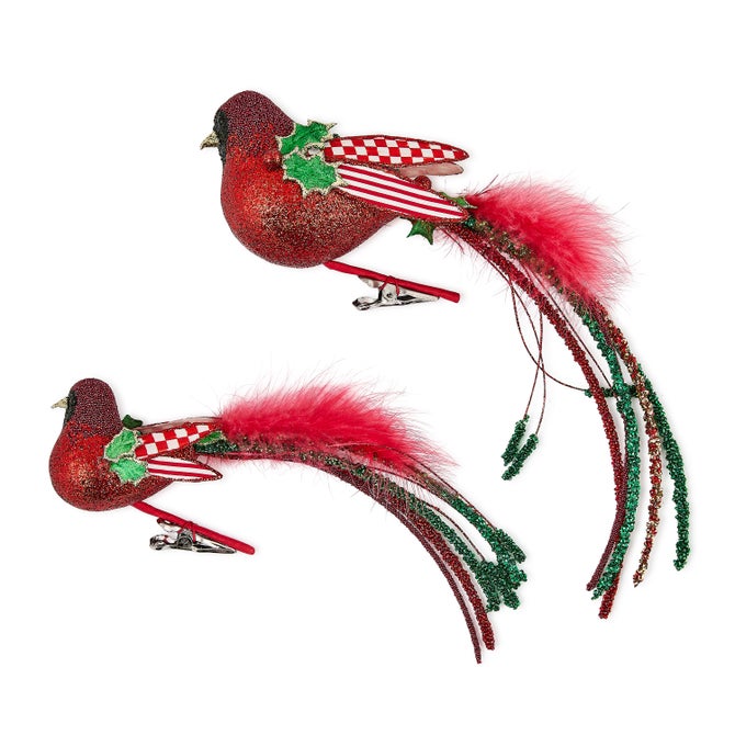 Check It Out Bird Clips, Set of 2 - {current_domain}