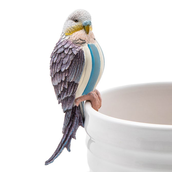 Parakeet Pot Climber - Blue - {current_domain}