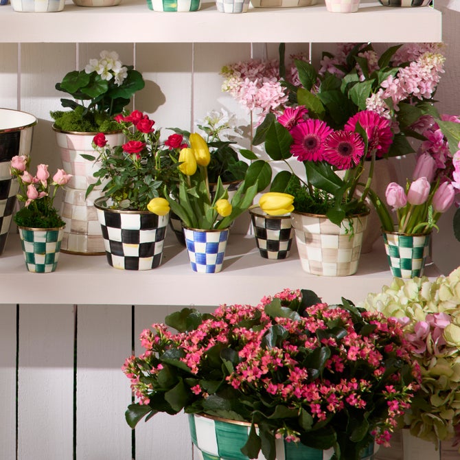 Herb Pots, Set of 3 - {current_domain}