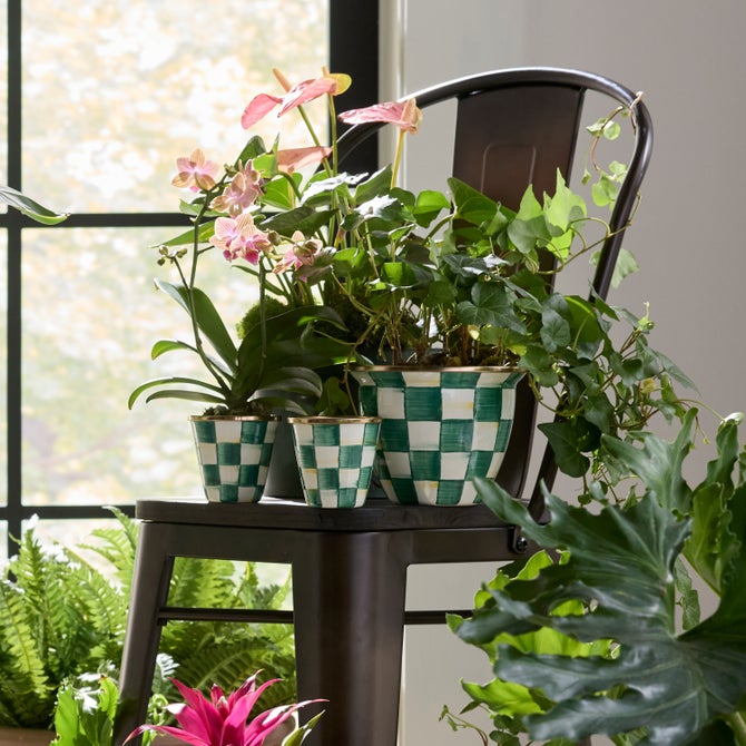 Emerald Check Large Flower Pot - {current_domain}