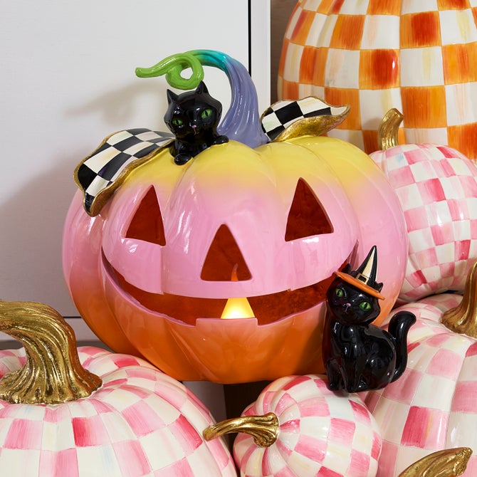 Trick or Treat Illuminated Jack O' Lantern - {current_domain}