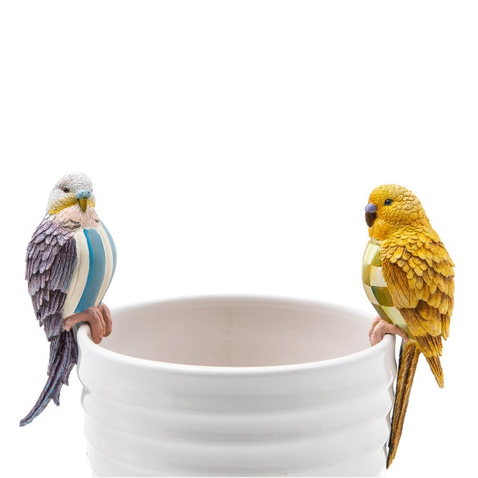Parakeet Pot Climber - Blue - {current_domain}