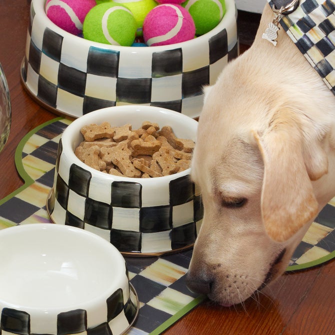 Check Pet Dishes - {current_domain}