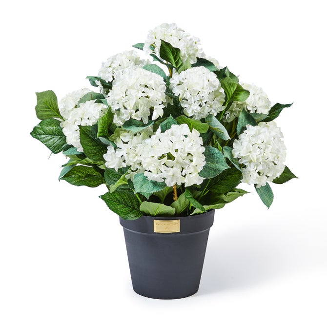White Hydrangea Urn Filler - {current_domain}