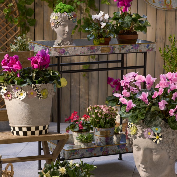 Flower Market Galvanized Outdoor Butler - {current_domain}