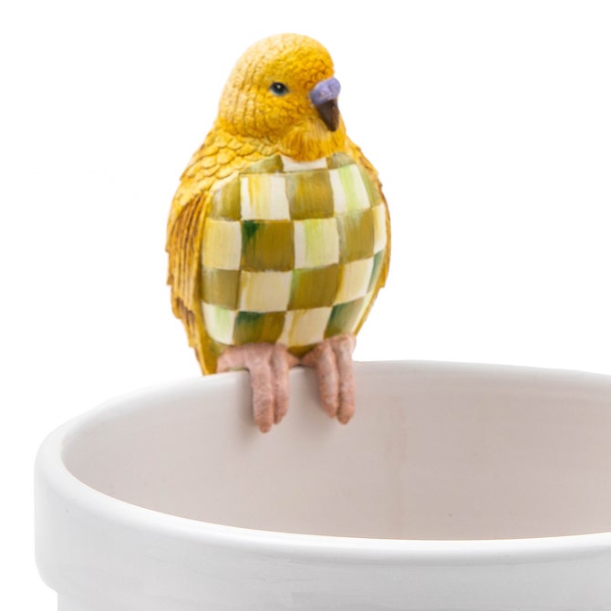 Parakeet Pot Climber - Chartreuse - {current_domain}
