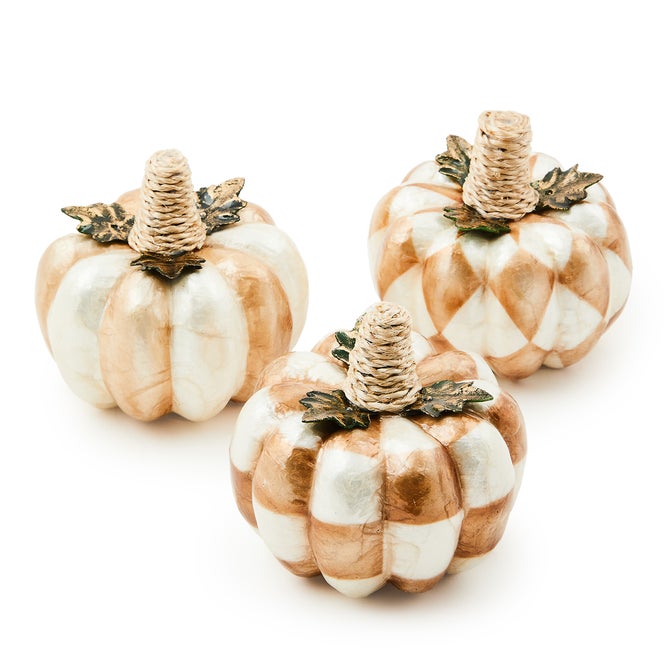 Mocha Capiz Pumpkins, Set of 3 - {current_domain}