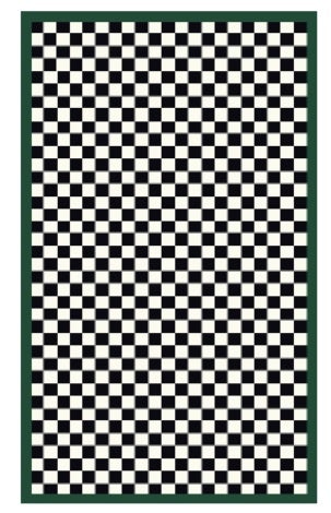 Check It Out Rug Emerald 2'6