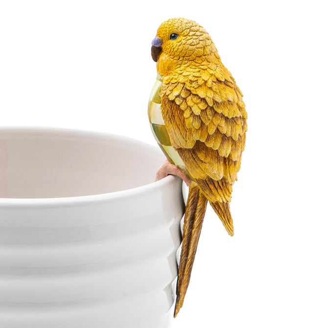 Parakeet Pot Climber - Chartreuse - {current_domain}