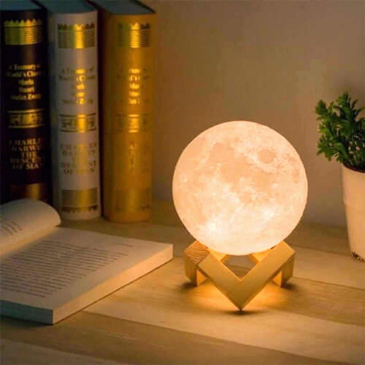 Mystical Moon Lamp