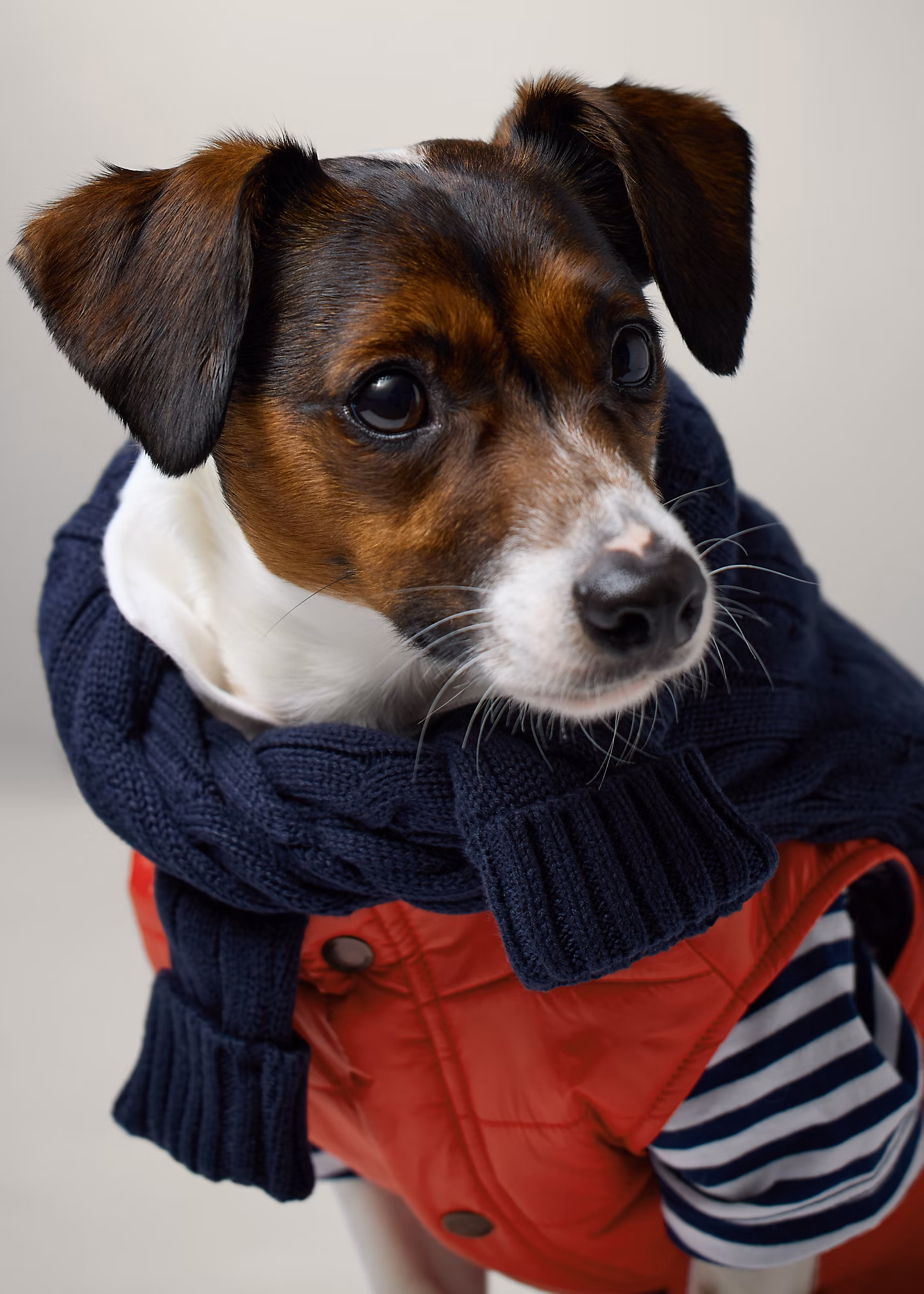 Pufferjacke für Hunde - RALPH LAUREN OUTLET