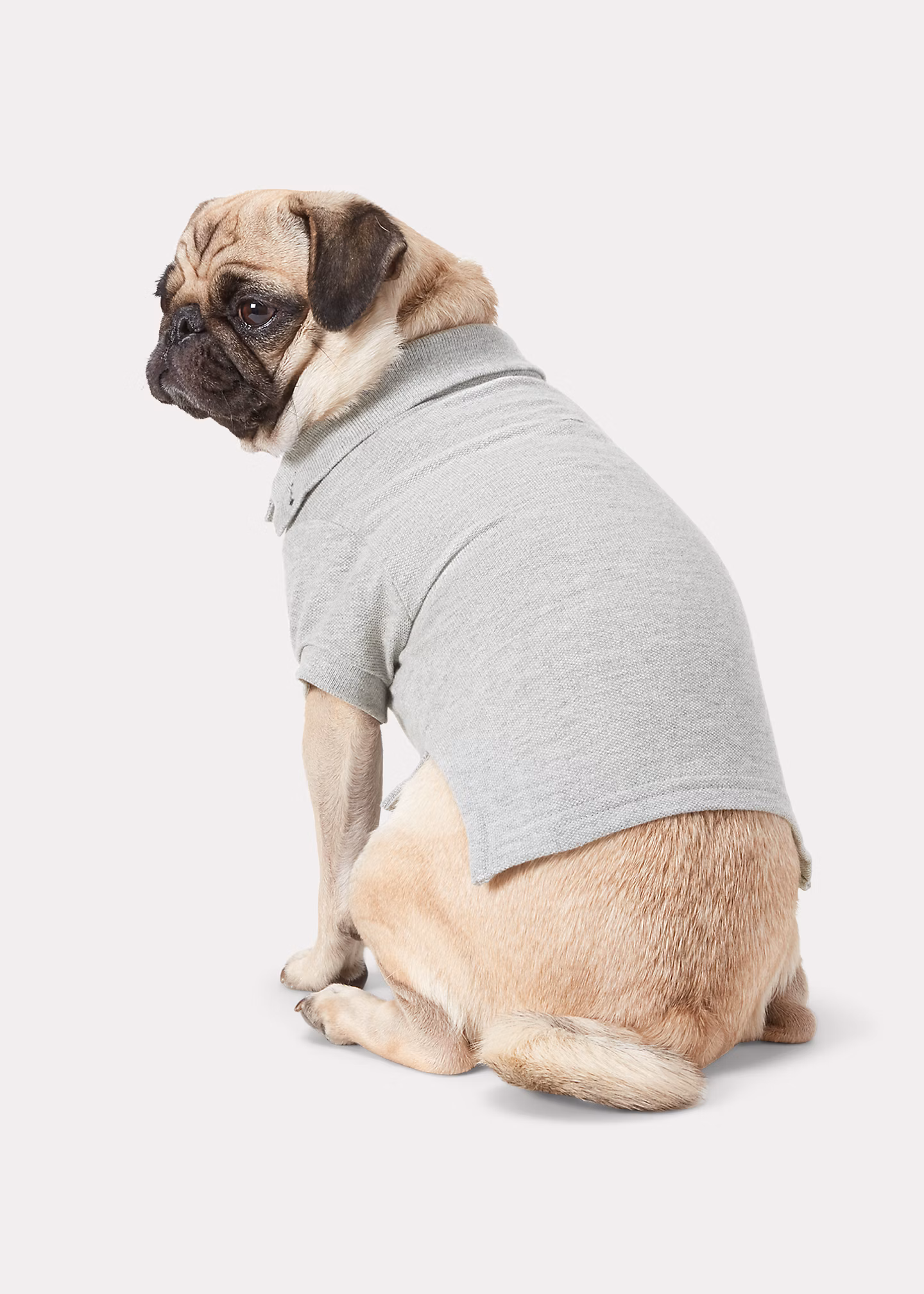 Hunde-Poloshirt aus Baumwollpiqué - RALPH LAUREN OUTLET