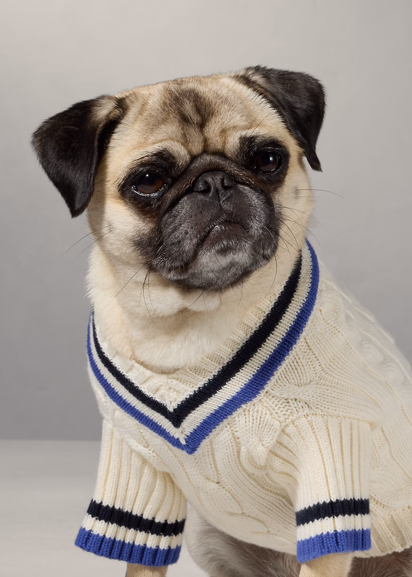 Cricket-Baumwollpullover für Hunde - RALPH LAUREN OUTLET