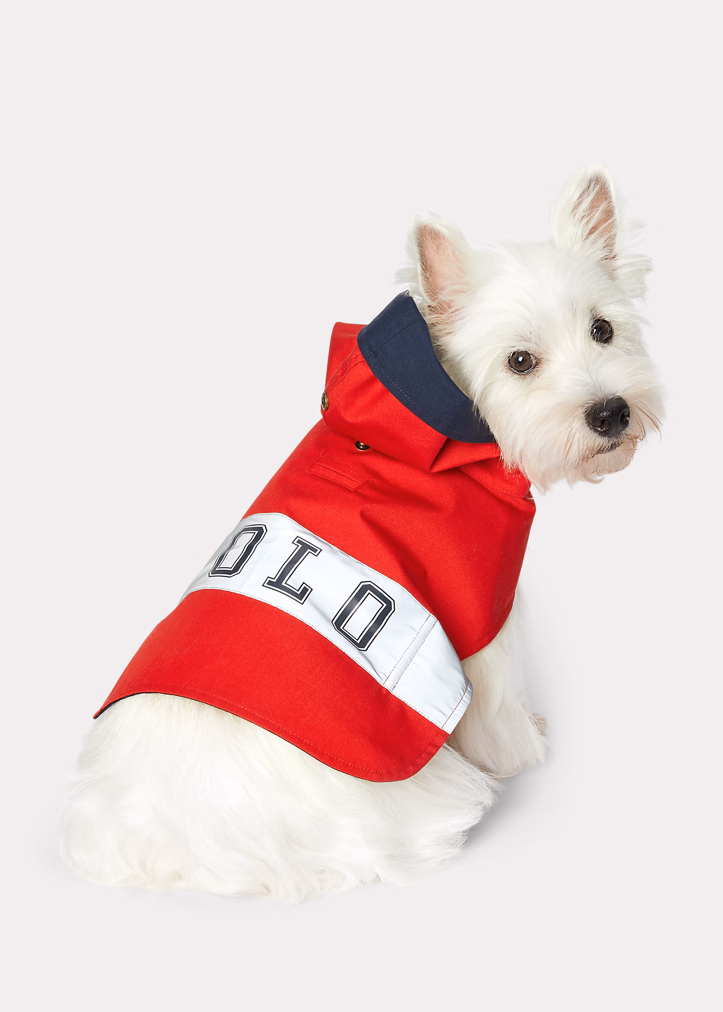 Ralph Lauren für Haustiere/