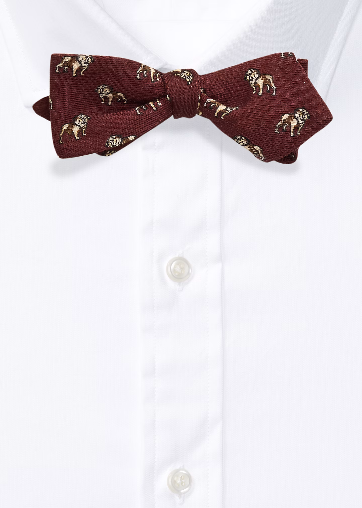 Fliege aus Wollchallis mit Hundemotiv - RALPH LAUREN OUTLET