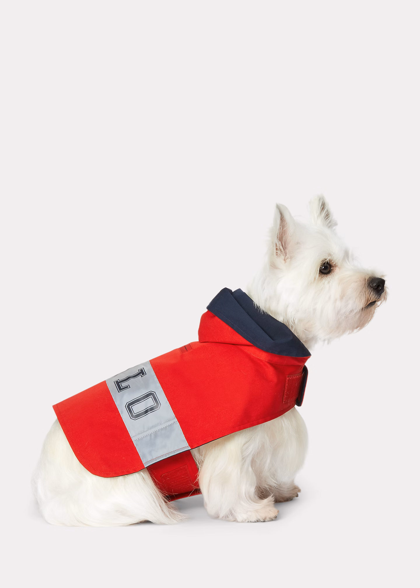 Logo‑Hunderegenmantel aus Segeltuch - RALPH LAUREN OUTLET