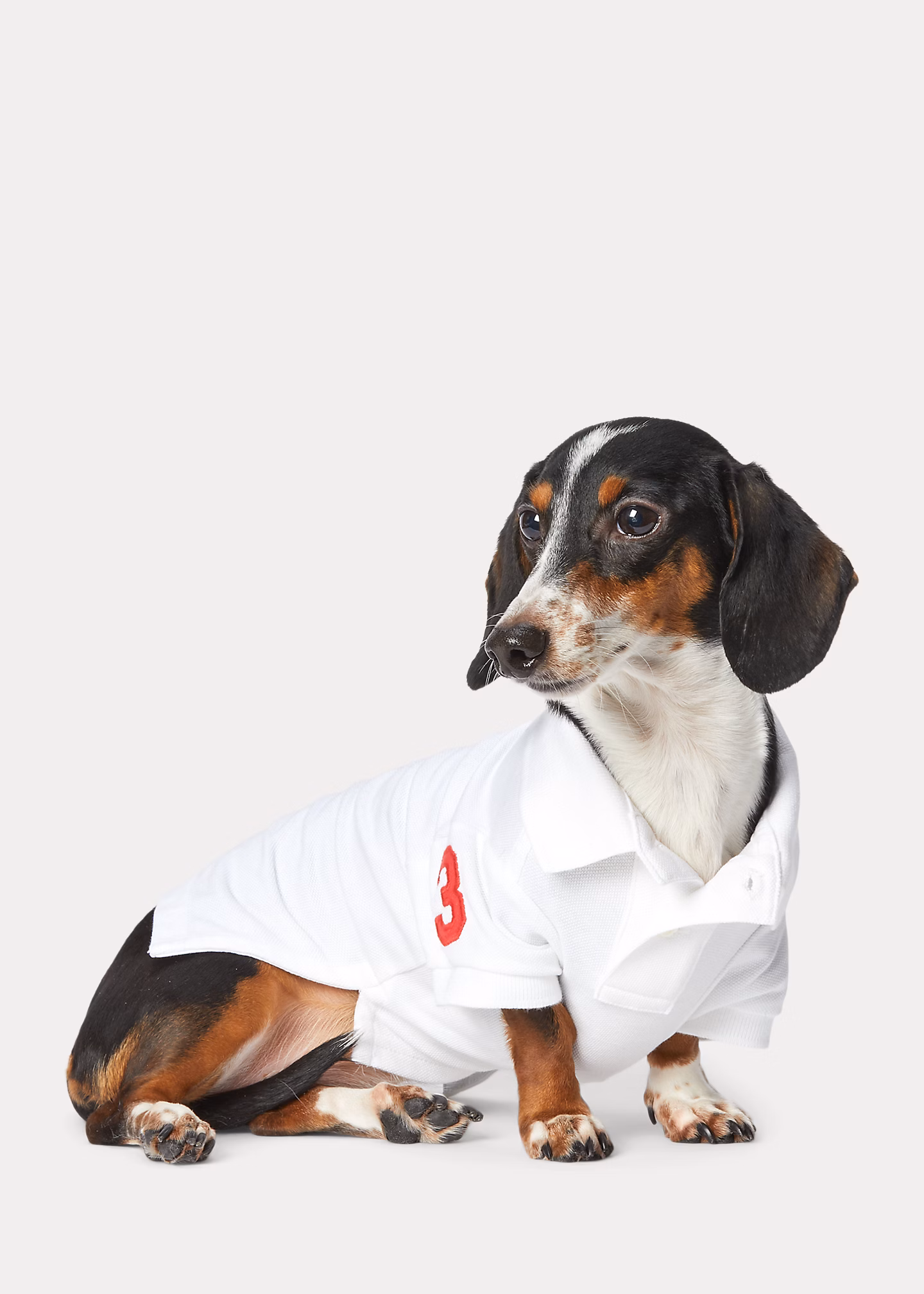 Hunde-Poloshirt mit Big Pony - RALPH LAUREN OUTLET