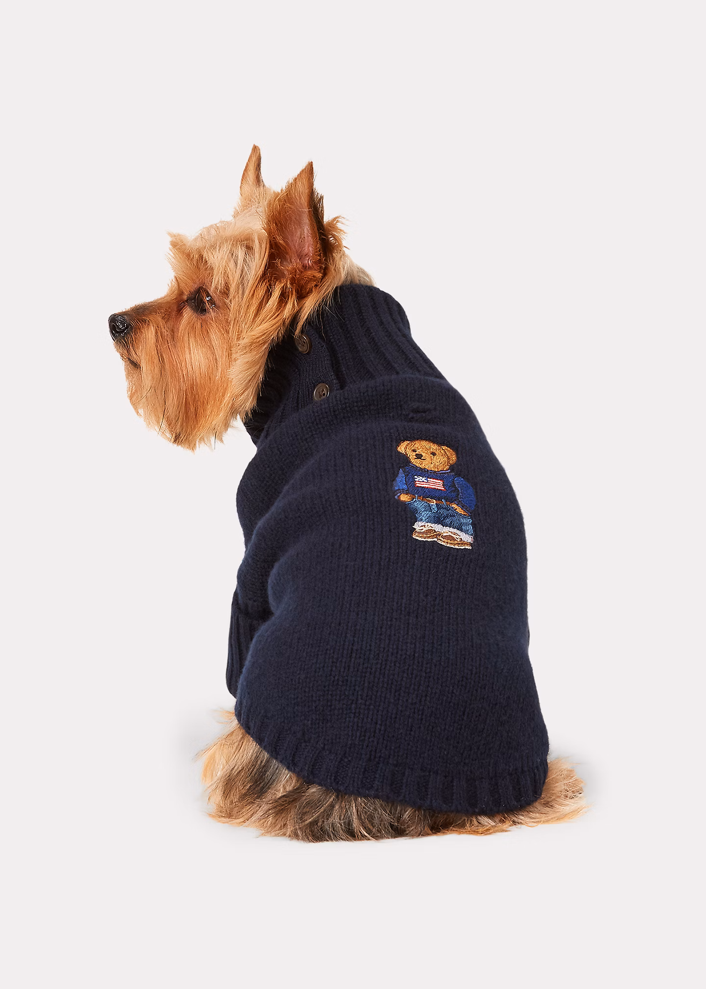Hundepullover mit Kaschmir und Polo Bear - RALPH LAUREN OUTLET