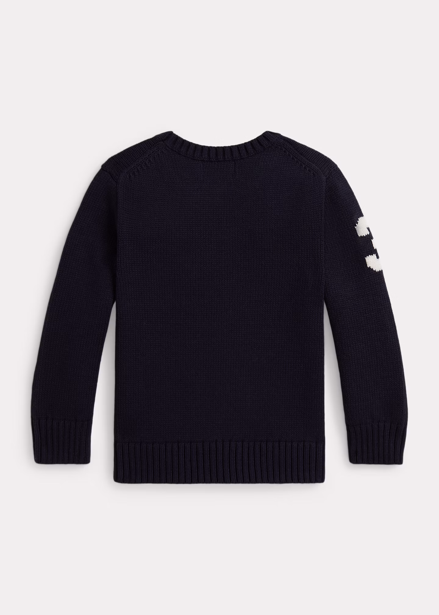 Rundhalspullover mit Polo Bear - RALPH LAUREN OUTLET