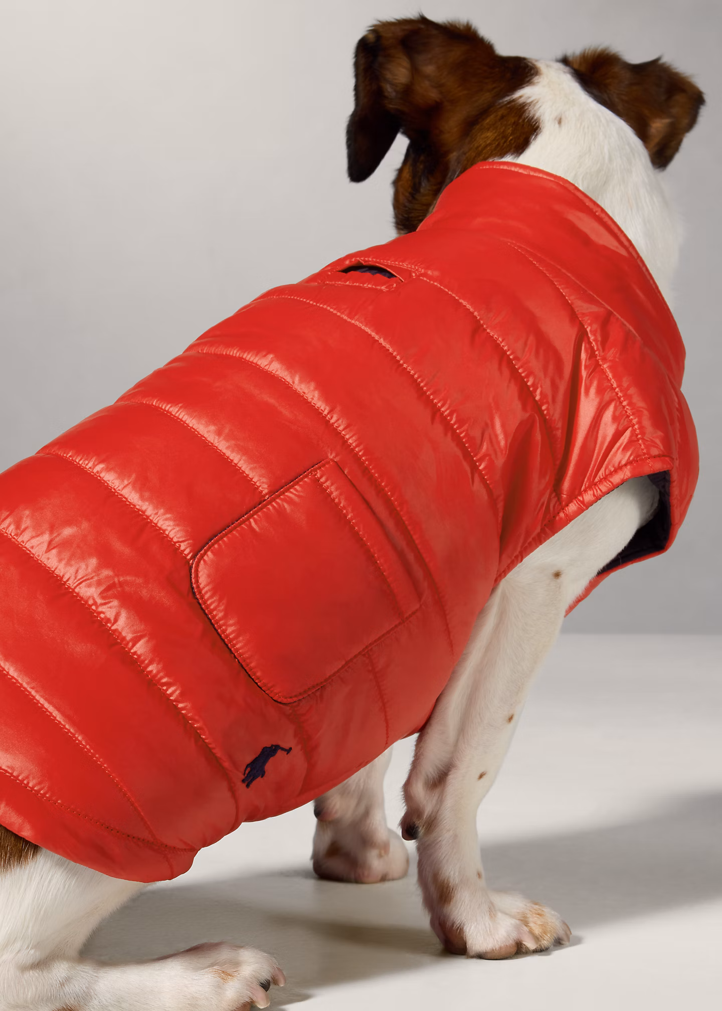 Pufferjacke für Hunde - RALPH LAUREN OUTLET