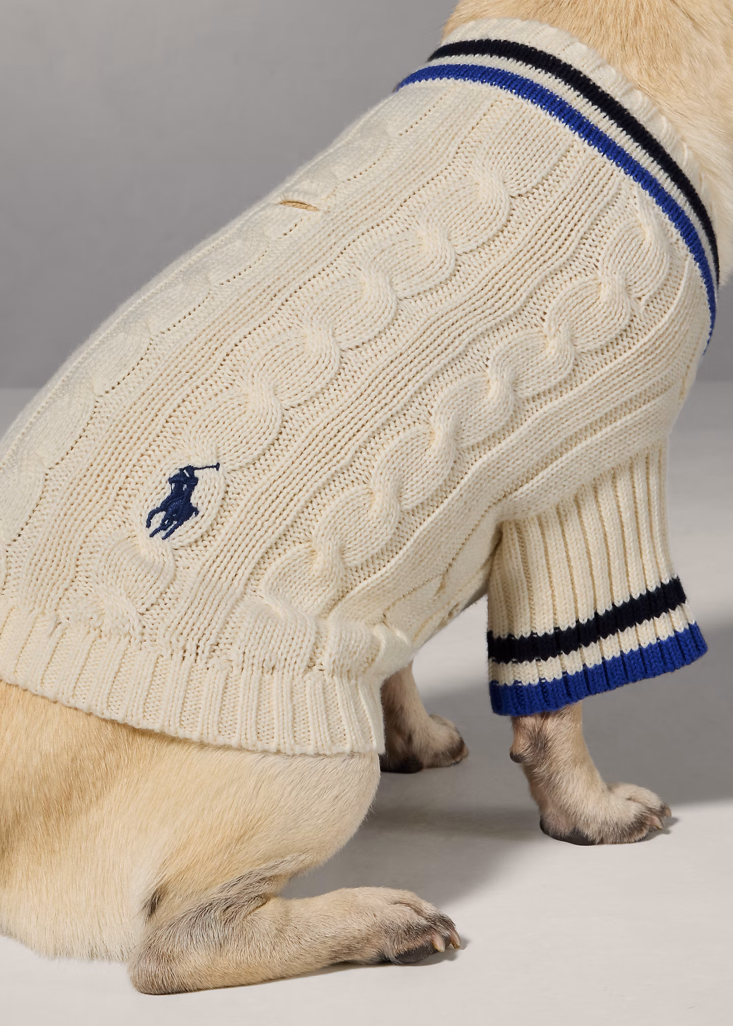 Cricket-Baumwollpullover für Hunde - RALPH LAUREN OUTLET