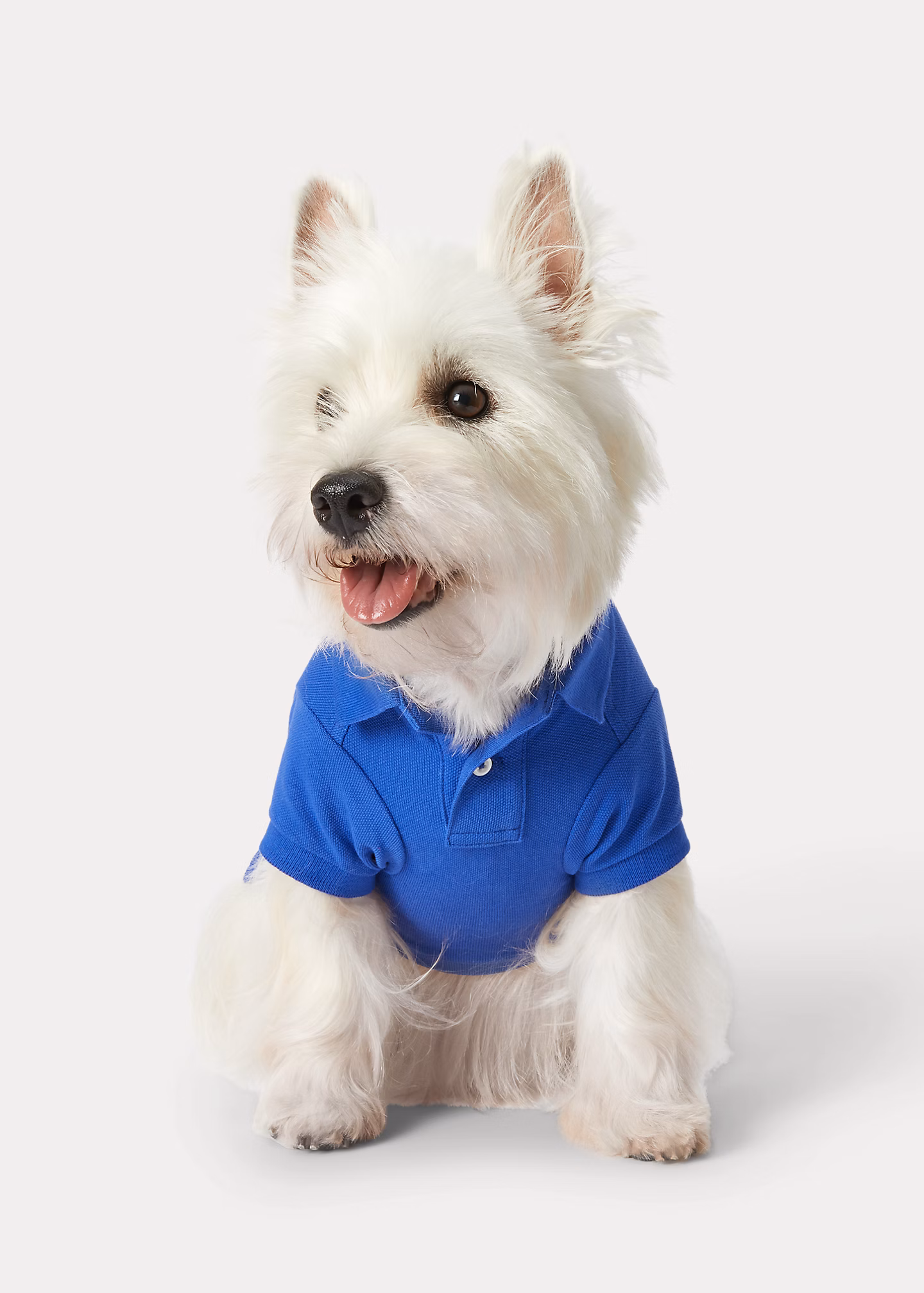 Hunde-Poloshirt aus Piqué mit Polo Bear - RALPH LAUREN OUTLET