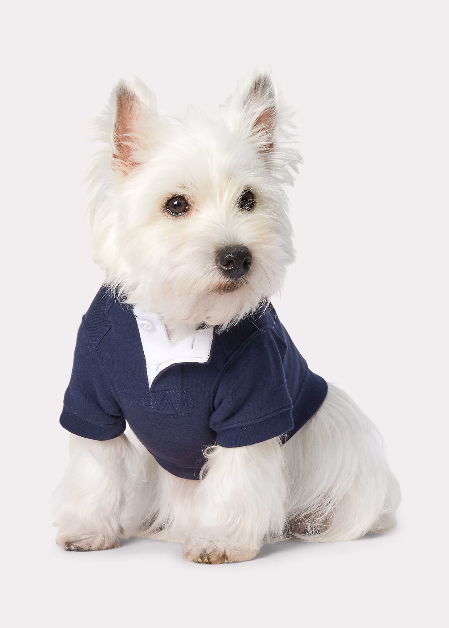 Hunde-Kapuzenpullover mit Polo Bear - RALPH LAUREN OUTLET