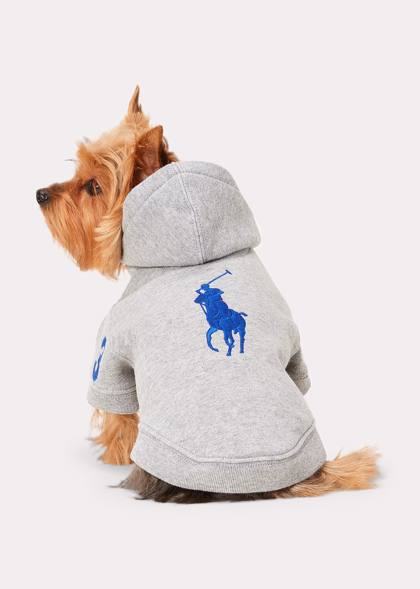Kapuzenpullover für Hunde mit Big Pony - RALPH LAUREN OUTLET