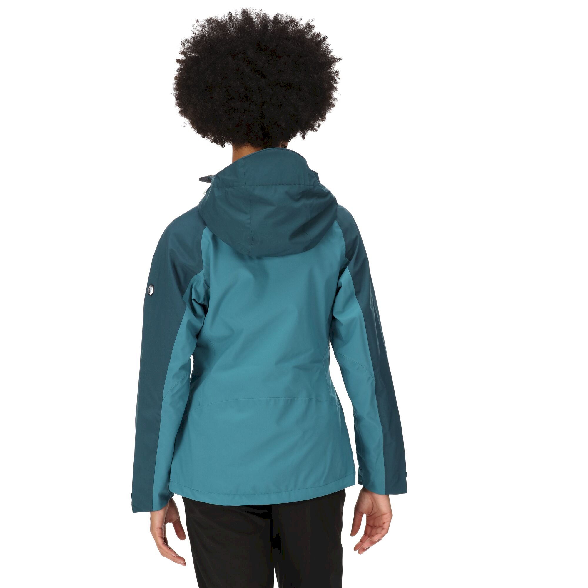 Women's Birchdale Waterproof Jacket | Dragonfly Reflecting Lake